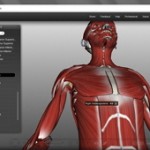body-browser