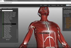 body-browser