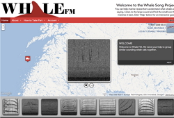 whale-fm