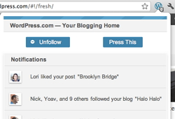 wordpress-chrome