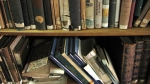 library-shelf