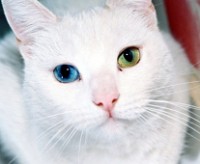 Το Fact and a Photo σας φέρνει μια ενδιαφέρουσα πληροφορία και μια φωτογραφία την ημέρα