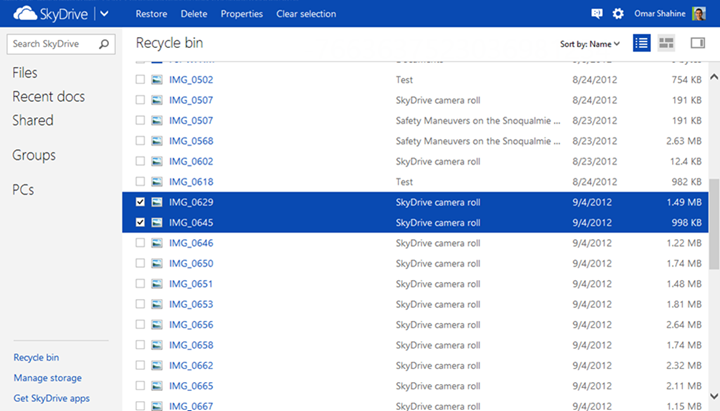 SkyDrive Recycle Bin